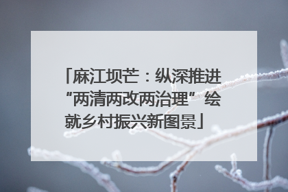 麻江坝芒：纵深推进“两清两改两治理”绘就乡村振兴新图景