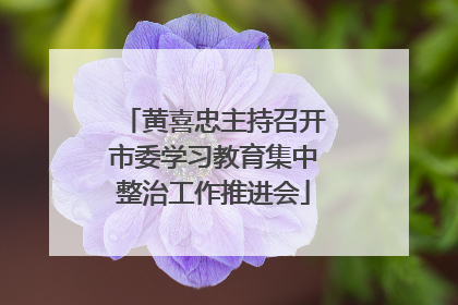 黄喜忠主持召开市委学习教育集中整治工作推进会