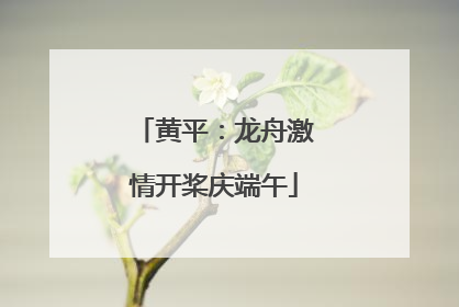 黄平：龙舟激情开桨庆端午
