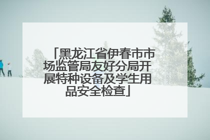 黑龙江省伊春市市场监管局友好分局开展特种设备及学生用品安全检查