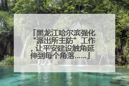 黑龙江哈尔滨强化“派出所主防”工作，让平安建设触角延伸到每个角落……