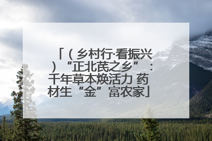 （乡村行·看振兴）“正北芪之乡”：千年草本焕活力 药材生“金”富农家
