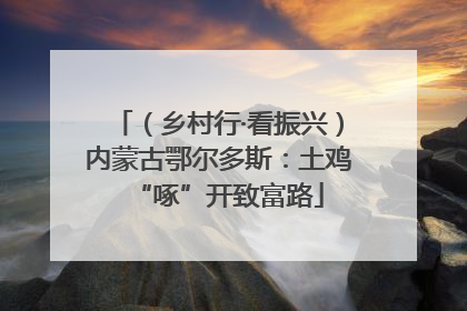 （乡村行·看振兴）内蒙古鄂尔多斯：土鸡“啄”开致富路