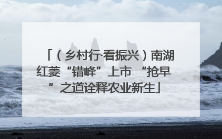 （乡村行·看振兴）南湖红菱“错峰”上市 “抢早”之道诠释农业新生