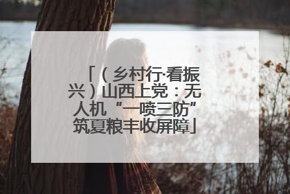（乡村行·看振兴）山西上党：无人机“一喷三防”筑夏粮丰收屏障