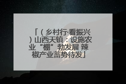 （乡村行·看振兴）山西天镇：设施农业“棚”勃发展 辣椒产业蓄势待发