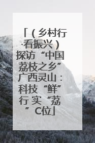 （乡村行·看振兴）探访“中国荔枝之乡”广西灵山：科技“鲜”行 实“荔”C位