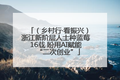 （乡村行·看振兴）浙江新阶层人士种蓝莓16载 盼用AI赋能“二次创业”