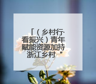 （乡村行·看振兴）青年赋能资源加持 浙江乡村“过客”变“留客”