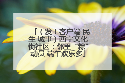 （发！客户端 民生 城事）西宁文化街社区：邻里“粽”动员 端午欢乐多