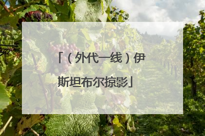 （外代一线）伊斯坦布尔掠影