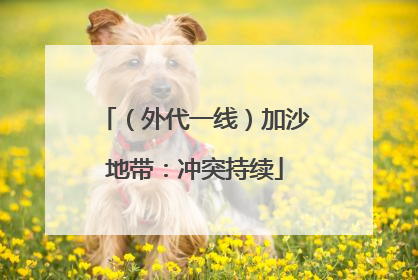 （外代一线）加沙地带：冲突持续