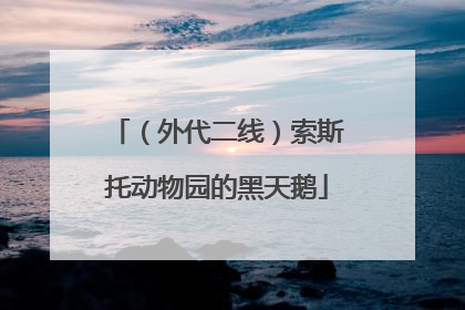 （外代二线）索斯托动物园的黑天鹅