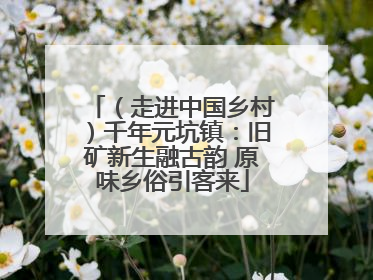 （走进中国乡村）千年元坑镇：旧矿新生融古韵 原味乡俗引客来
