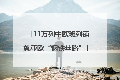 11万列中欧班列铺就亚欧“钢铁丝路”