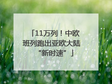 11万列！中欧班列跑出亚欧大陆“新时速”