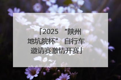 2025 “陕州地坑院杯” 自行车邀请赛激情开赛