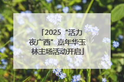 2025“活力夜广西”嘉年华玉林主场活动开启