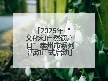 2025年“文化和自然遗产日”泰州市系列活动正式启动