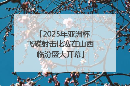 2025年亚洲杯飞碟射击比赛在山西临汾盛大开幕