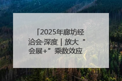 2025年廊坊经洽会·深度｜放大“会展+”乘数效应 打造消费新场景