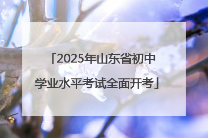 2025年山东省初中学业水平考试全面开考