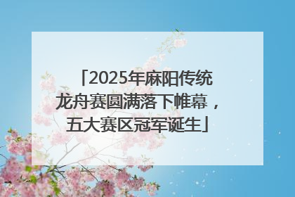 2025年麻阳传统龙舟赛圆满落下帷幕，五大赛区冠军诞生