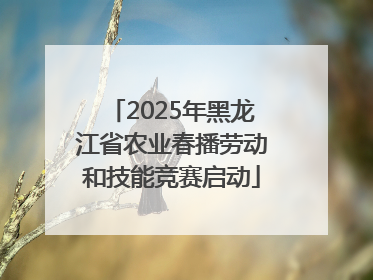 2025年黑龙江省农业春播劳动和技能竞赛启动