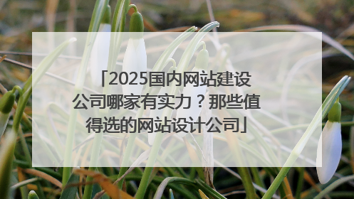 2025国内网站建设公司哪家有实力？那些值得选的网站设计公司