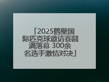 2025鹤壁国际匹克球邀请赛圆满落幕 300余名选手激情对决