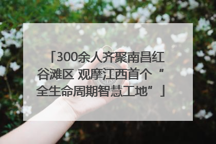 300余人齐聚南昌红谷滩区 观摩江西首个“全生命周期智慧工地”