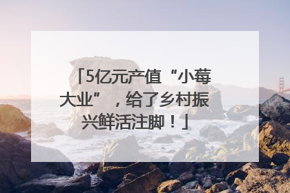 5亿元产值“小莓大业”，给了乡村振兴鲜活注脚！