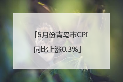 5月份青岛市CPI同比上涨0.3%