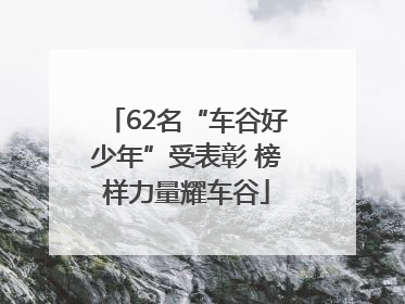 62名“车谷好少年”受表彰 榜样力量耀车谷