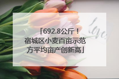 692.8公斤！宿城区小麦百亩示范方平均亩产创新高