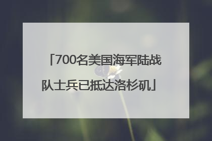 700名美国海军陆战队士兵已抵达洛杉矶