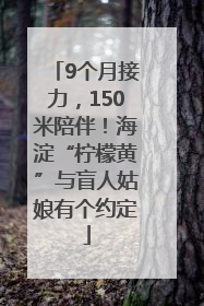 9个月接力，150米陪伴！海淀“柠檬黄”与盲人姑娘有个约定