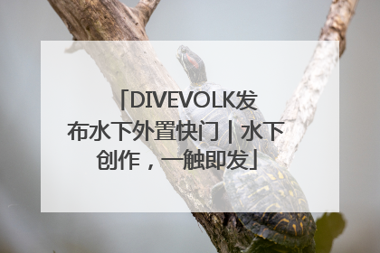 DIVEVOLK发布水下外置快门｜水下创作，一触即发