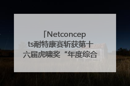 Netconcepts耐特康赛斩获第十六届虎啸奖“年度综合服务商”大奖